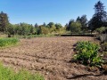 Продава  Къща област Добрич , с. Соколово , 140 кв.м | 60026978 - изображение [9]