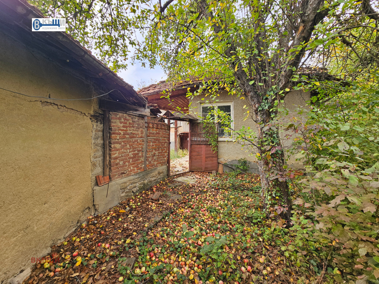 ������� ���� | Imot.bg � ����������� 4