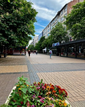 3 soverom Tsentar, Sofia 1