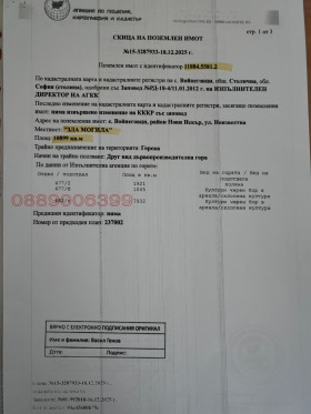 ������ ������� ���������� ����