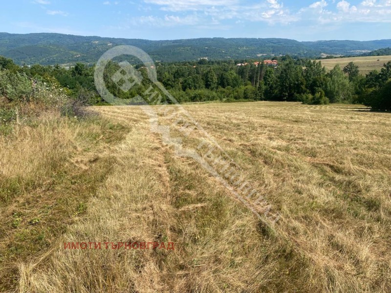 Zu verkaufen  Handlung region Weliko Tarnowo , Elena , 3160 qm | 40589613 - Bild [3]