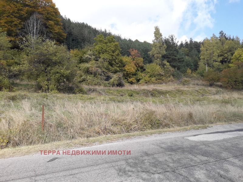 Na prodej  Spiknutí Sofia , Železnica , 1032 m2 | 65516053 - obraz [6]
