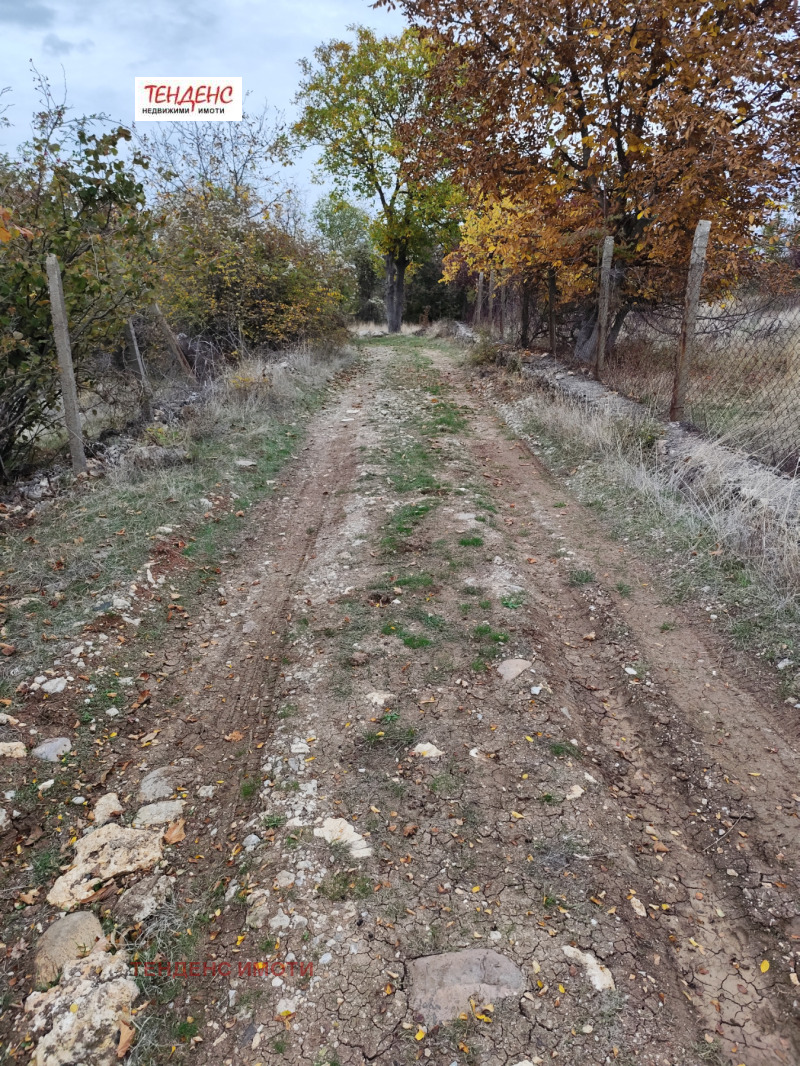 Продава ПАРЦЕЛ, гр. Кърджали, Прилепци, снимка 2 - Парцели - 52094532