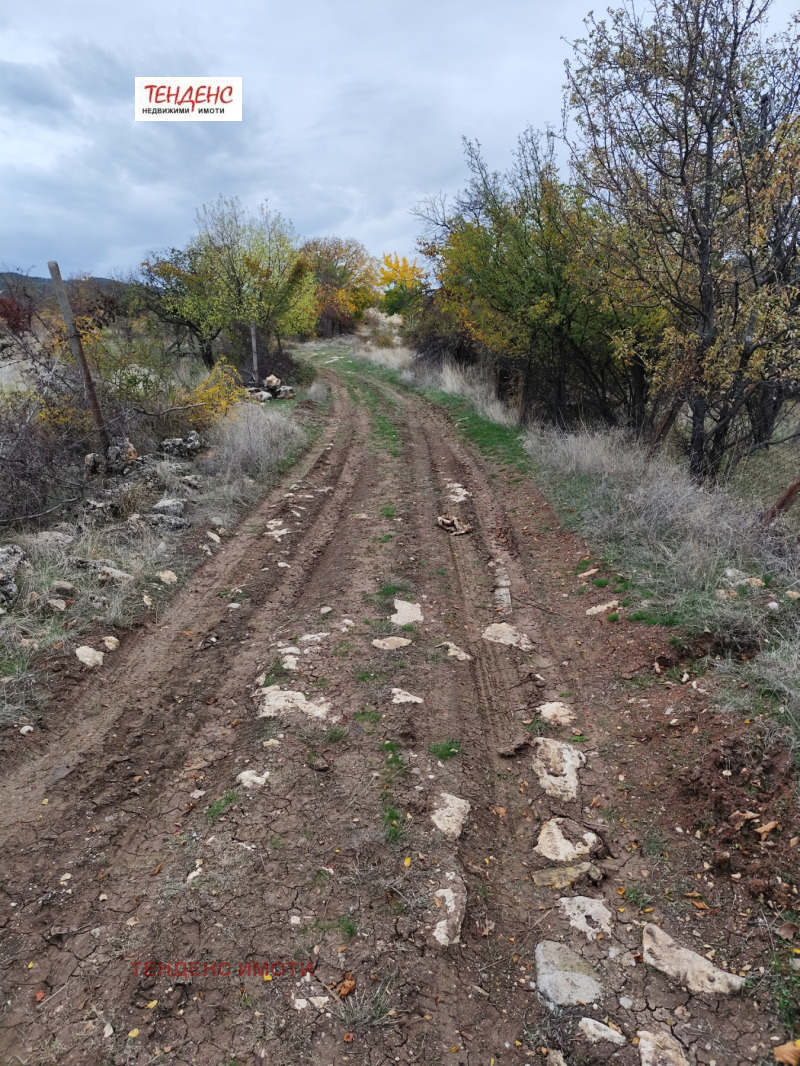 Продава ПАРЦЕЛ, гр. Кърджали, Прилепци, снимка 3 - Парцели - 52094532