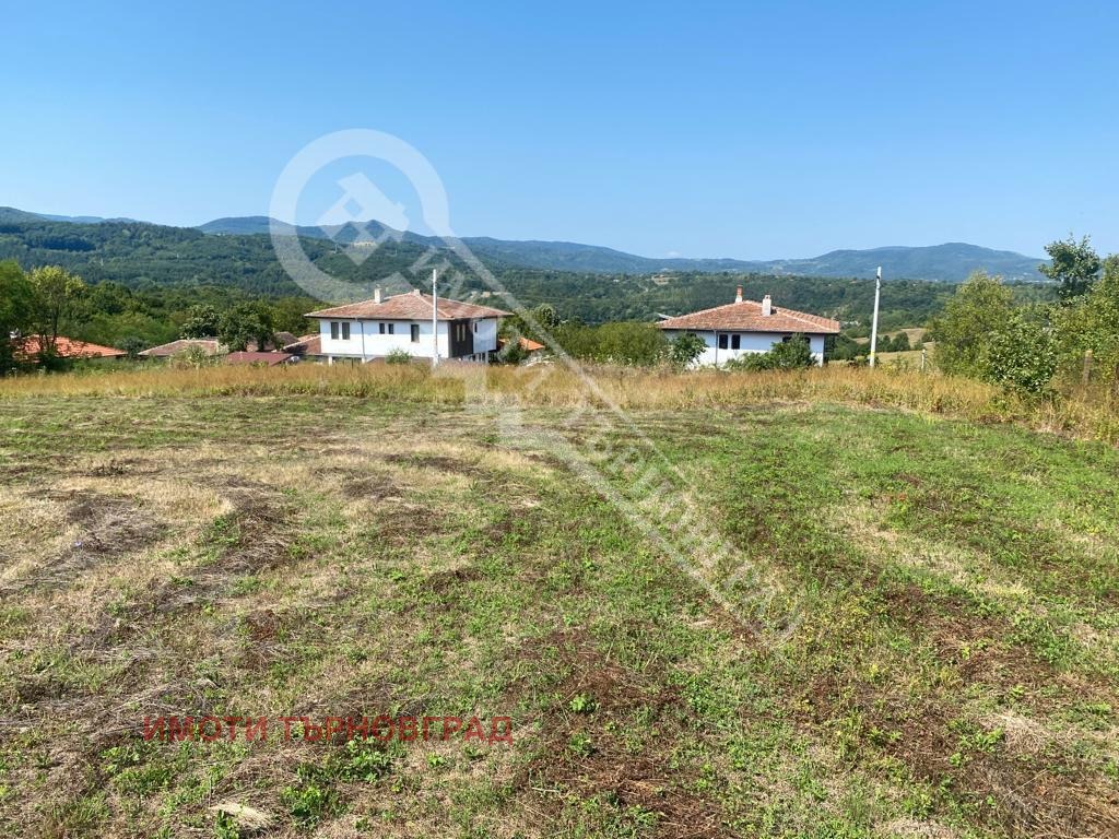 Продава ПАРЦЕЛ, гр. Елена, област Велико Търново, снимка 4 - Парцели - 42008538