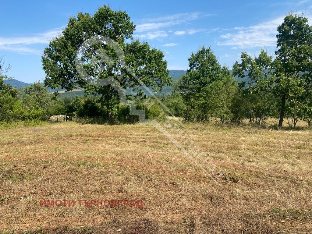 Продава ПАРЦЕЛ, гр. Елена, област Велико Търново, снимка 3 - Парцели - 42008538