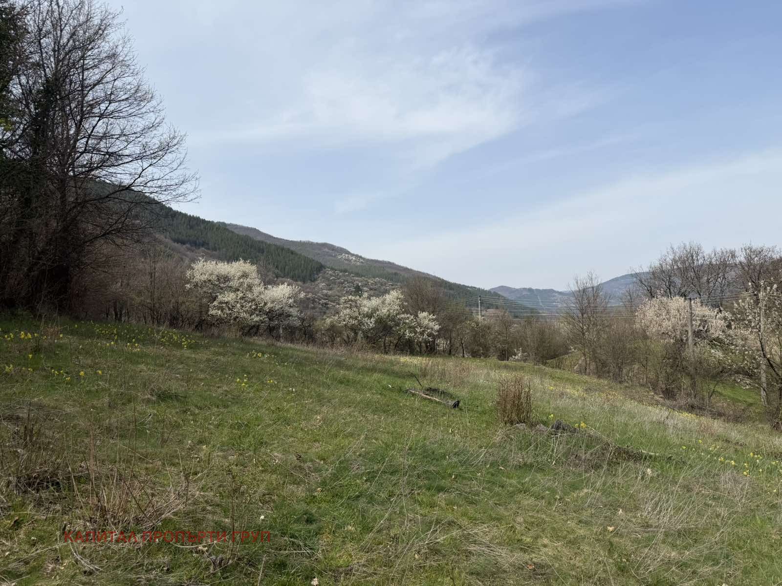 Продава ПАРЦЕЛ, с. Реброво, област София област, снимка 4 - Парцели - 54364520