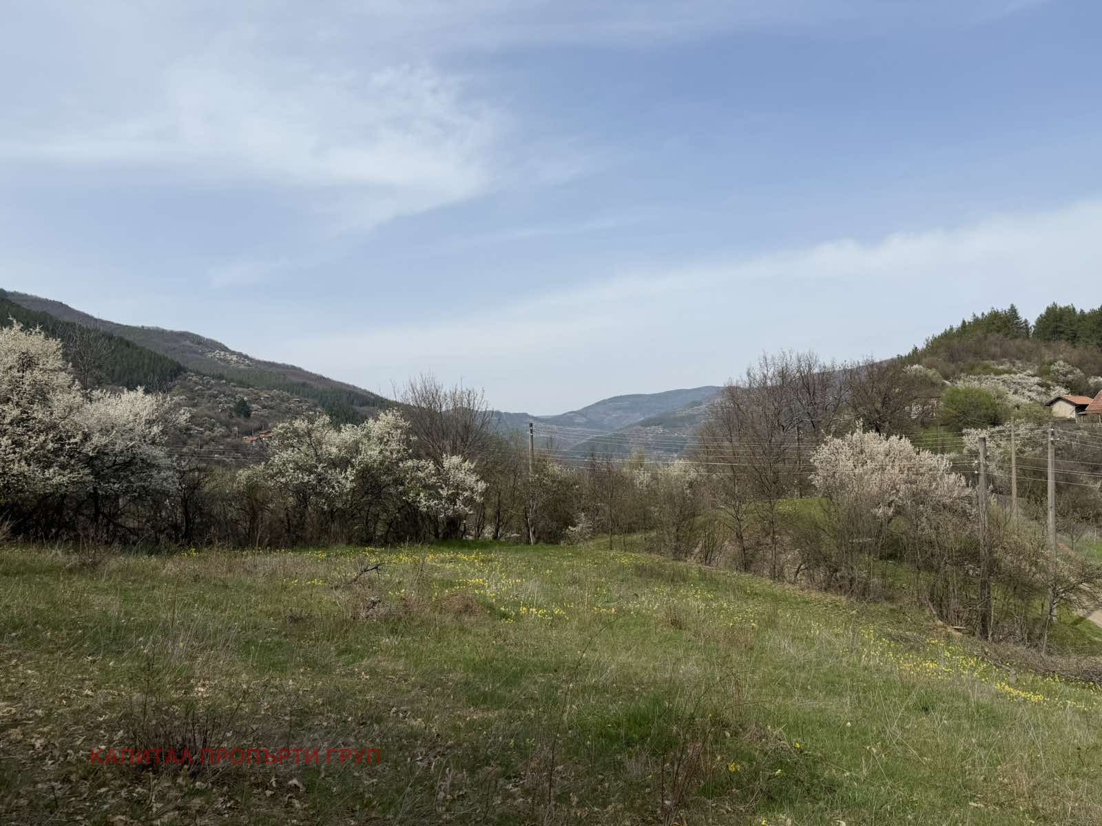 Продава ПАРЦЕЛ, с. Реброво, област София област, снимка 5 - Парцели - 54364520