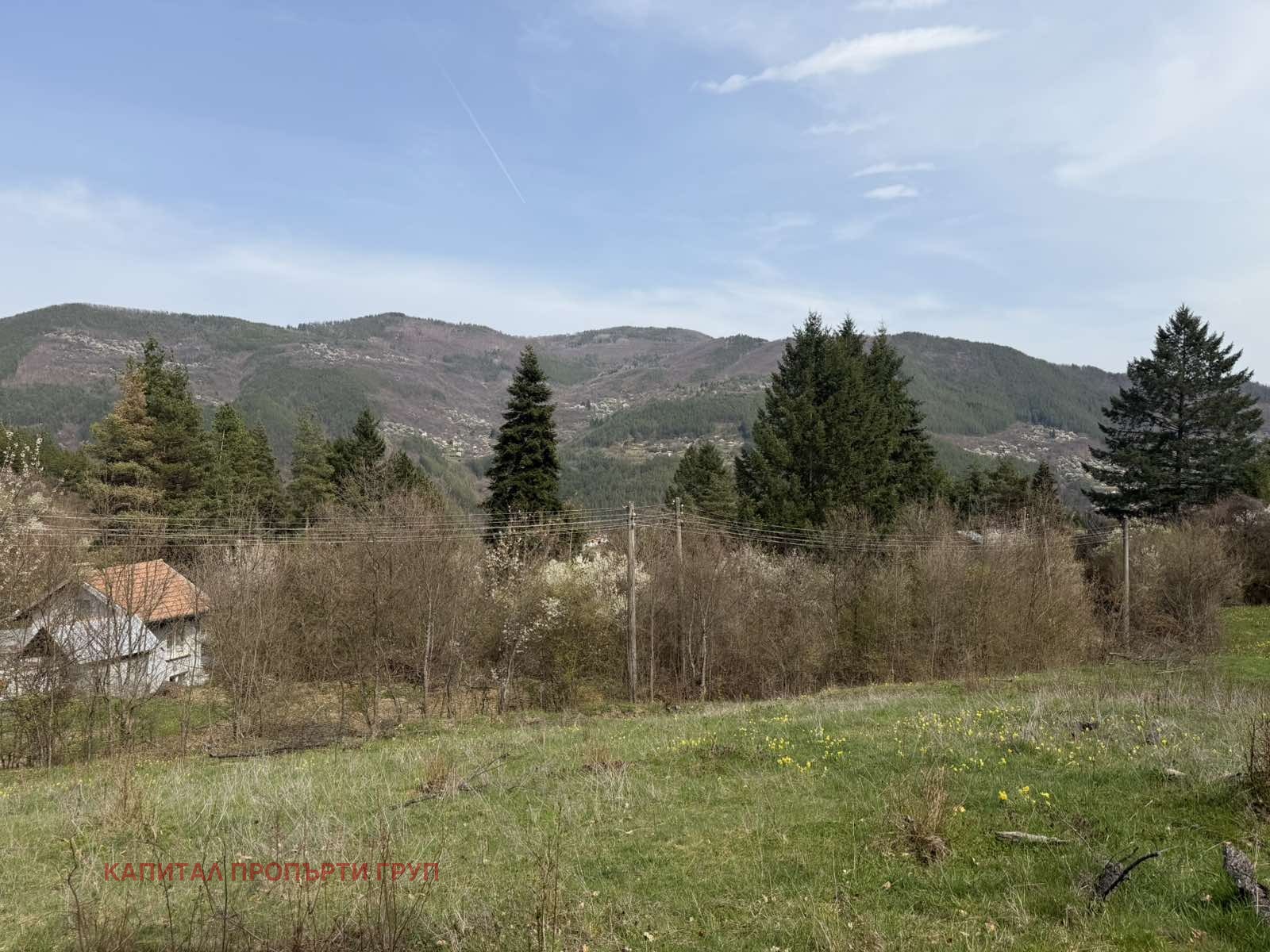 Продава ПАРЦЕЛ, с. Реброво, област София област, снимка 6 - Парцели - 54364520