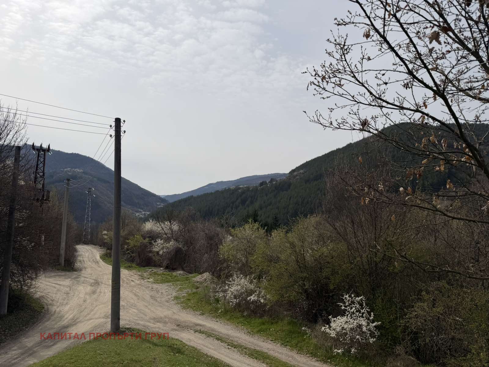 Продава ПАРЦЕЛ, с. Реброво, област София област, снимка 11 - Парцели - 54364520