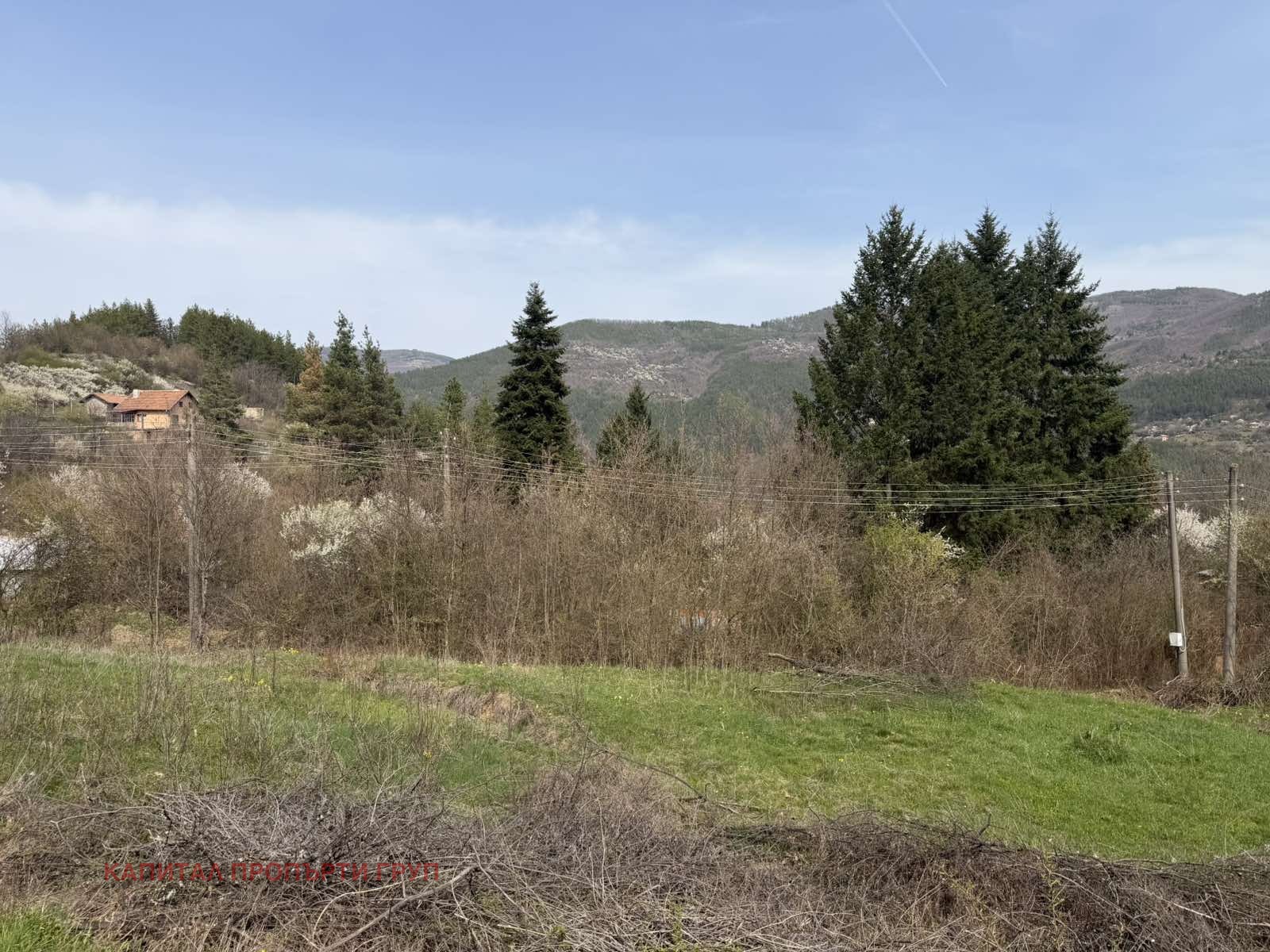 Продава ПАРЦЕЛ, с. Реброво, област София област, снимка 3 - Парцели - 54364520