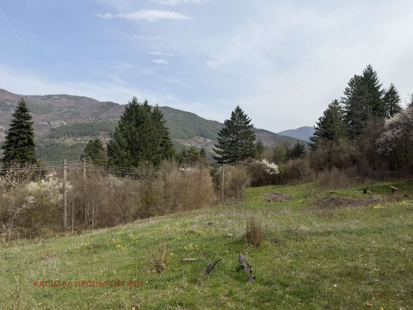 Продава ПАРЦЕЛ, с. Реброво, област София област, снимка 7 - Парцели - 54364520