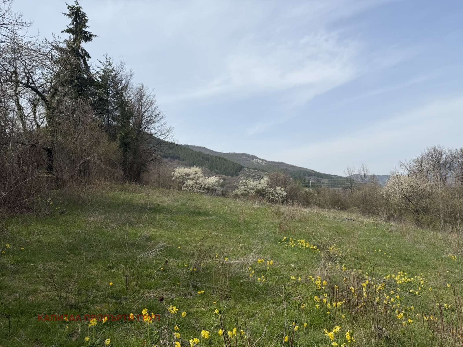 Продава ПАРЦЕЛ, с. Реброво, област София област, снимка 2 - Парцели - 54364520