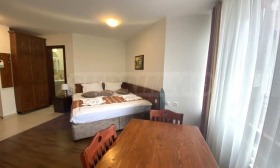 Studio Bansko, region Blagoevgrad 2