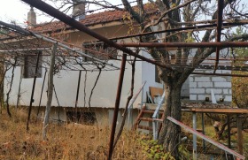 σπίτι Γερμαν, Σοφηια