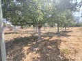 Продава КЪЩА, област Добрич, с. Ведрина • 66900 лв. • 38705989 — Holmes.bg
