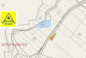 ����� ������� ���������� ����,�. �����������, ������ �����������