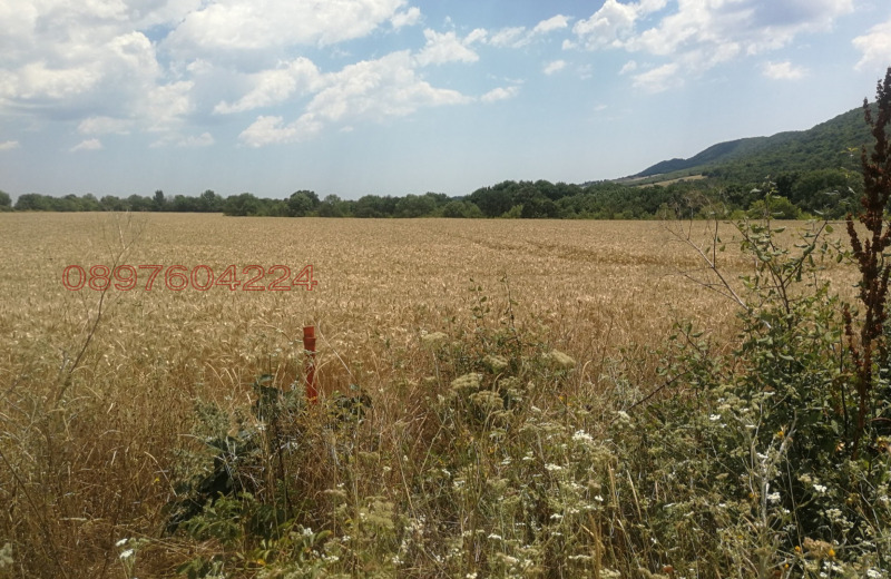 Продава ПАРЦЕЛ, с. Медово, област Бургас, снимка 2 - Парцели - 52781138