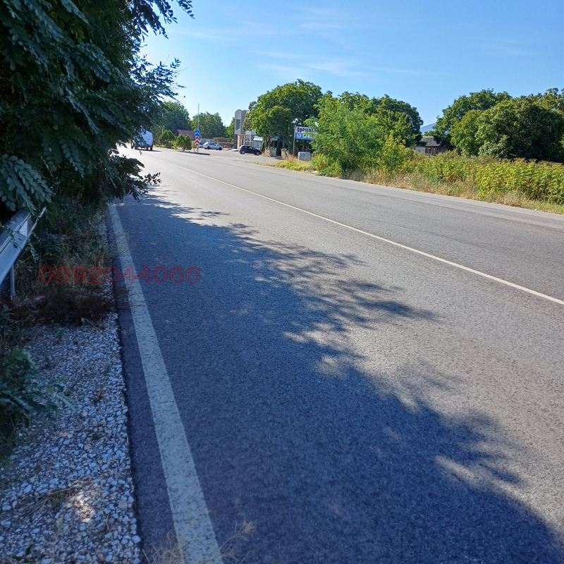 Продава ЗЕМЕДЕЛСКА ЗЕМЯ, гр. Септември, област Пазарджик, снимка 3 - Земеделска земя - 52786291