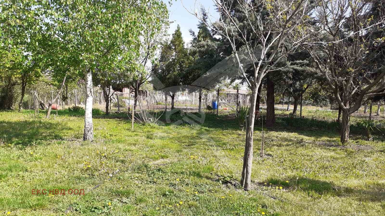 Продава КЪЩА, с. Правище, област Пловдив, снимка 2 - Къщи - 55489721