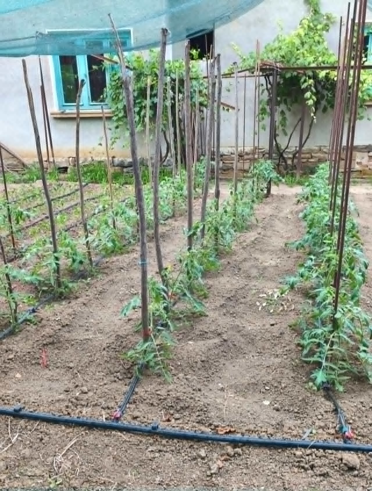 Продава КЪЩА, с. Добродан, област Ловеч, снимка 5 - Къщи - 55022941