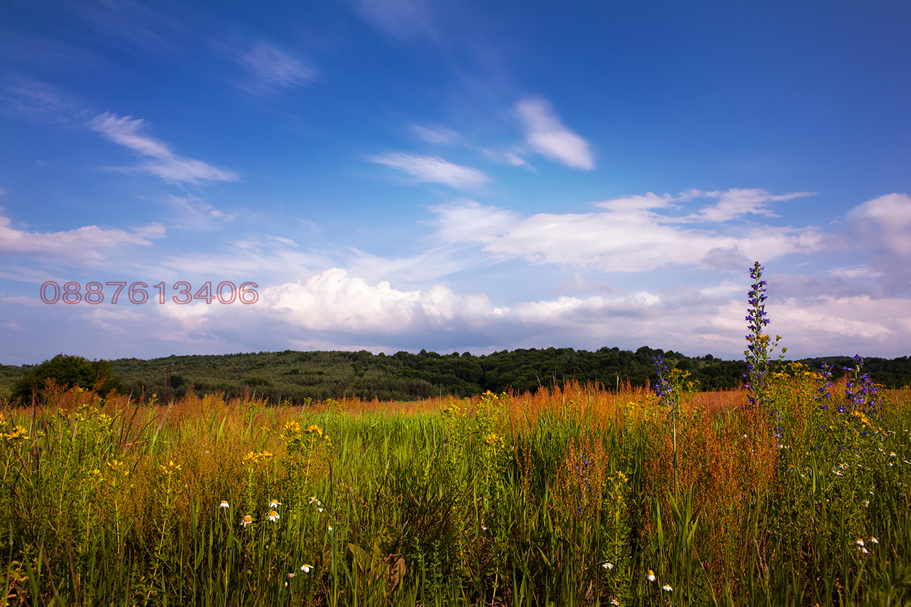 Продава ПАРЦЕЛ, гр. София, с. Плана, снимка 4 - Парцели - 53969844