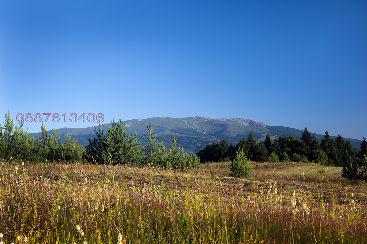 Продава ПАРЦЕЛ, гр. София, с. Плана, снимка 6 - Парцели - 53969844