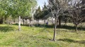 Продава КЪЩА, с. Правище, област Пловдив, снимка 2