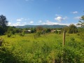 Продава ПАРЦЕЛ, област Велико Търново, с. Къпиново • 16000 € • 80172845 — Holmes.bg