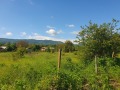 Продава ПАРЦЕЛ, област Велико Търново, с. Къпиново • 16000 € • 80172845 — Holmes.bg