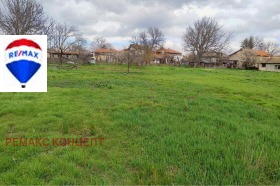 ������ ������� ������