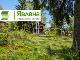 ����� ������� ������,���� �����, �. ��������