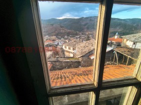 ����� ������� ����,�. �������, ������ �����������