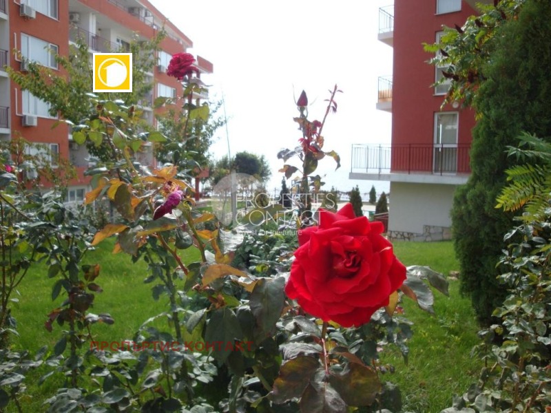 À venda  1 quarto região Burgas , Sveti Vlas , 75 m² | 87535275 - imagem [14]