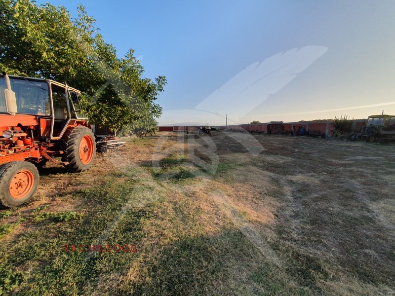 Продава ПРОМ. ПОМЕЩЕНИЕ, с. Маноле, област Пловдив, снимка 3 - Производствени сгради - 48420930