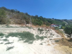 ����� ������� ������,��. ������, ������ ������