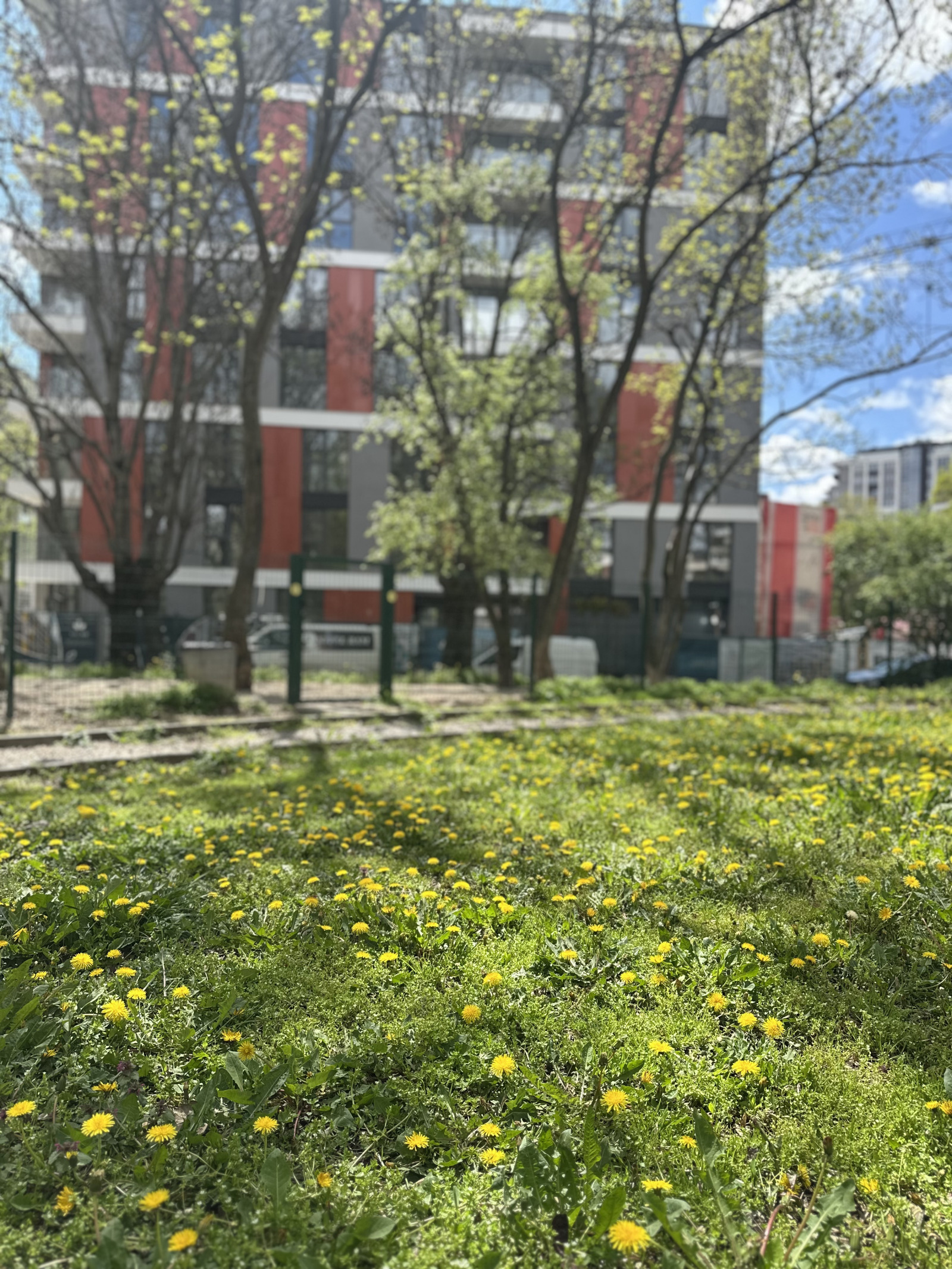 Продава ГАРАЖ, ПАРКОМЯСТО, гр. София, Център, снимка 6 - Гаражи и паркоместа - 53605604