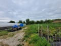 Продава ПАРЦЕЛ, с. Михалци, област Велико Търново, снимка 2