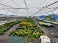 Продава ПАРЦЕЛ, област Велико Търново, с. Михалци • 200000 лв. • 74953044 — Holmes.bg