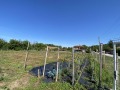 Продава ПАРЦЕЛ, област Велико Търново, с. Михалци • 200000 лв. • 74953044 — Holmes.bg