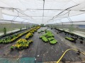 Продава ПАРЦЕЛ, област Велико Търново, с. Михалци • 200000 лв. • 74953044 — Holmes.bg