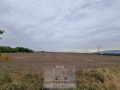 Продава ПАРЦЕЛ, град Пловдив, Западен • 419990 € • 40739374 — Holmes.bg