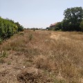 Продава ПАРЦЕЛ, град София, с. Негован • 230492 € • 24512589 — Holmes.bg
