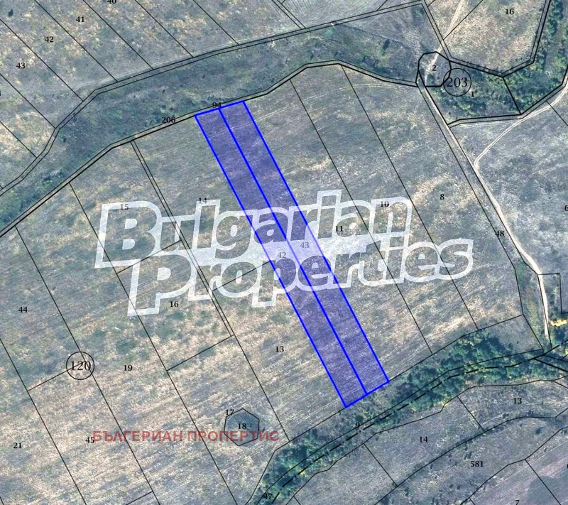 For Sale  Plot region Sofia , Dolna banya , 10008 sq.m | 96000318 - image [3]