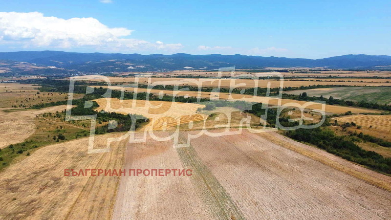 For Sale  Plot region Sofia , Dolna banya , 10008 sq.m | 96000318 - image [8]