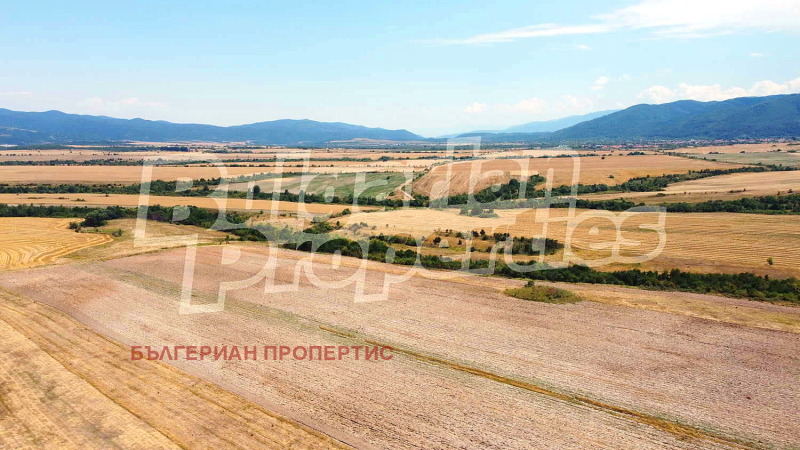 For Sale  Plot region Sofia , Dolna banya , 10008 sq.m | 96000318 - image [9]