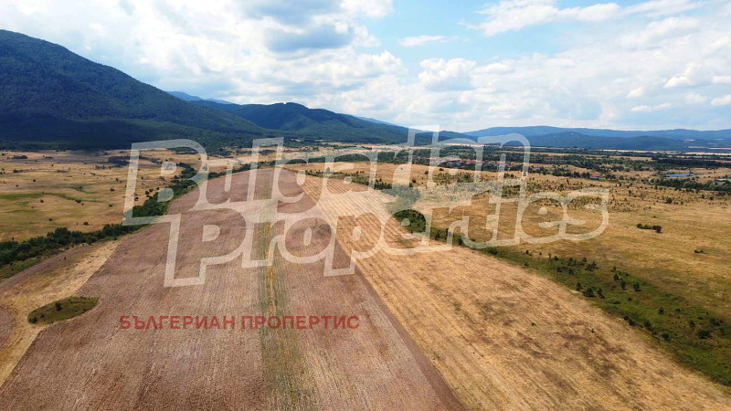 For Sale  Plot region Sofia , Dolna banya , 10008 sq.m | 96000318 - image [7]