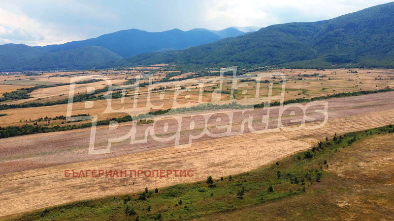 For Sale  Plot region Sofia , Dolna banya , 10008 sq.m | 96000318 - image [5]