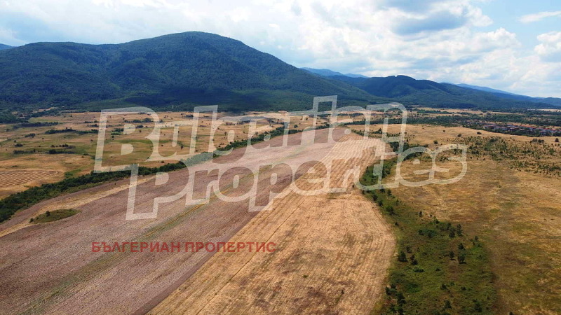 For Sale  Plot region Sofia , Dolna banya , 10008 sq.m | 96000318 - image [4]