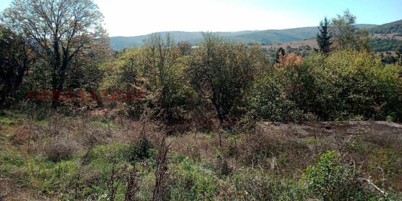 Продаја  Плот регион Софиа , Борика , 850 м2 | 35726378 - слика [3]